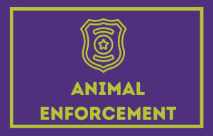 Animal Enforcement